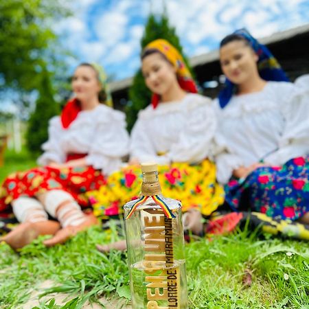 Floare De Maramures 1 Vadu Izei Εξωτερικό φωτογραφία