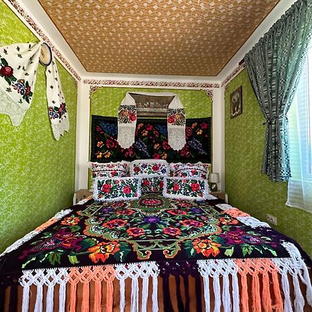 Floare De Maramures 1 Vadu Izei Εξωτερικό φωτογραφία