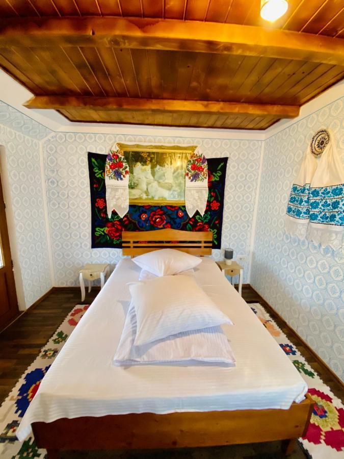 Floare De Maramures 1 Vadu Izei Εξωτερικό φωτογραφία