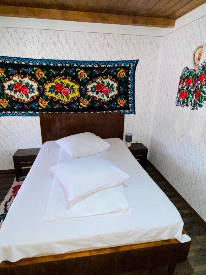 Floare De Maramures 1 Vadu Izei Εξωτερικό φωτογραφία