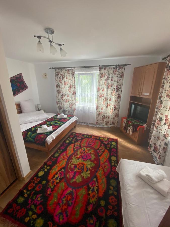 Floare De Maramures 1 Vadu Izei Εξωτερικό φωτογραφία