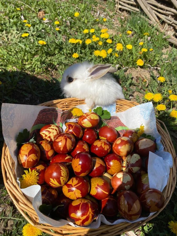 Floare De Maramures 1 Vadu Izei Εξωτερικό φωτογραφία