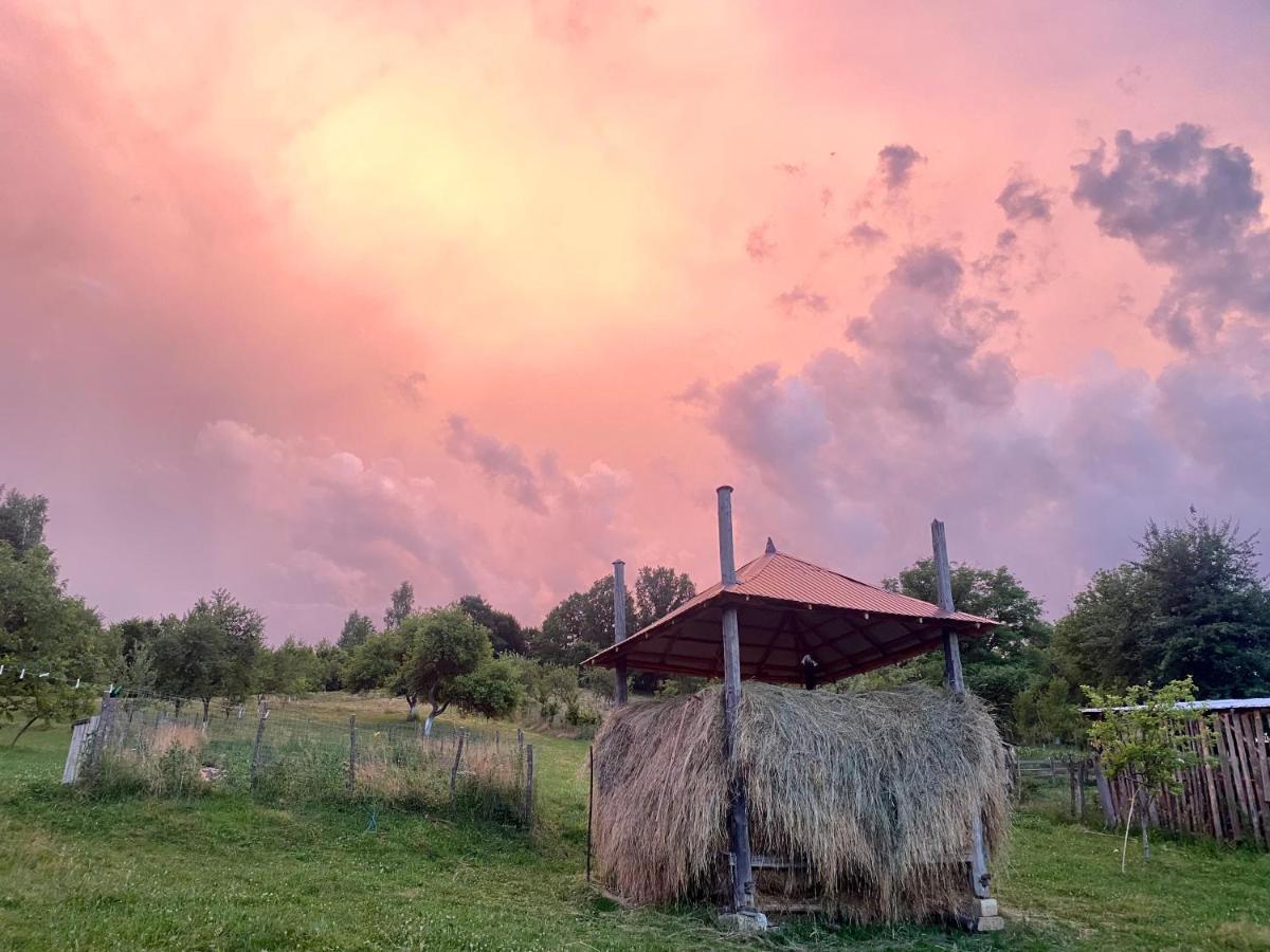 Floare De Maramures 1 Vadu Izei Εξωτερικό φωτογραφία