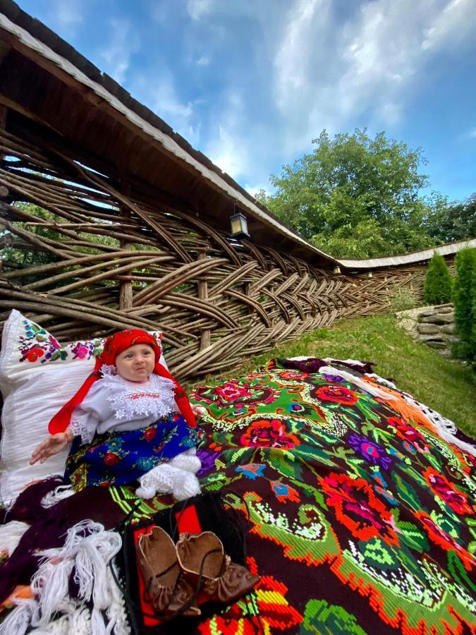 Floare De Maramures 1 Vadu Izei Εξωτερικό φωτογραφία