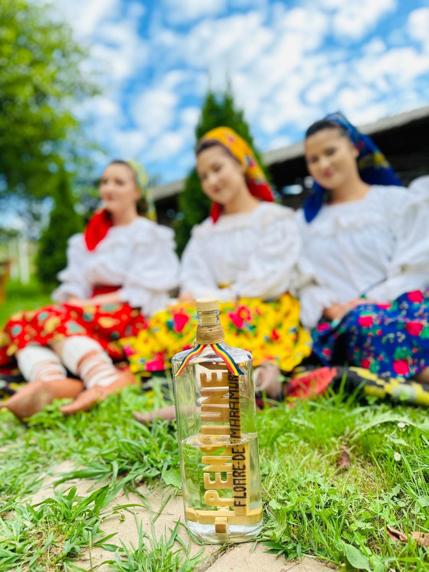Floare De Maramures 1 Vadu Izei Εξωτερικό φωτογραφία