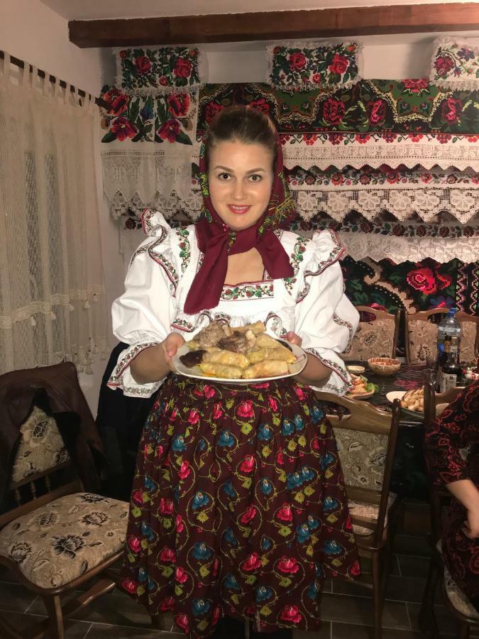 Floare De Maramures 1 Vadu Izei Εξωτερικό φωτογραφία